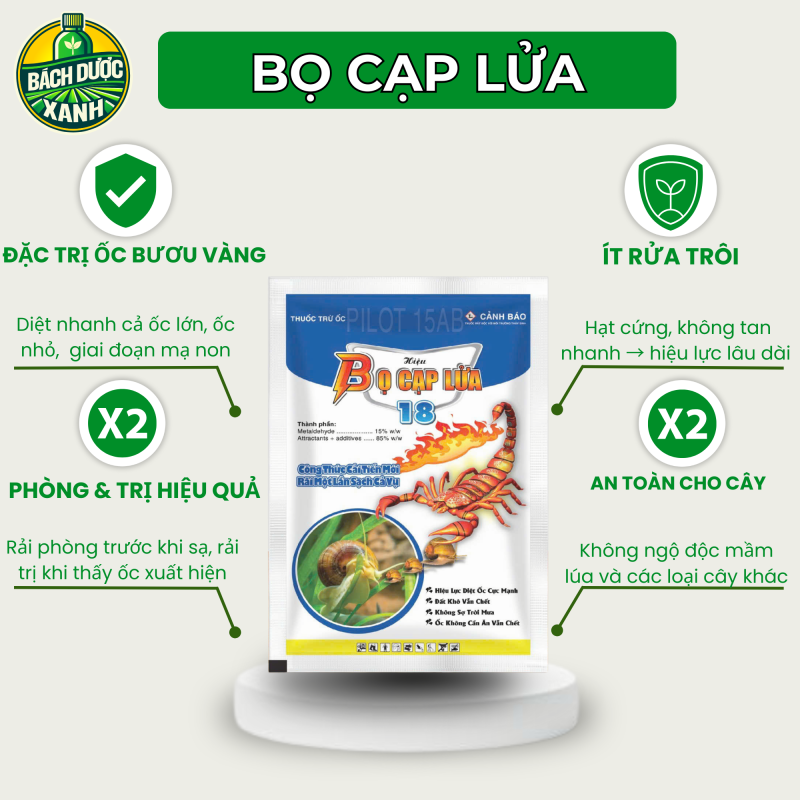 Alternative view of BỌ CẠP LỬA 800gr - TS