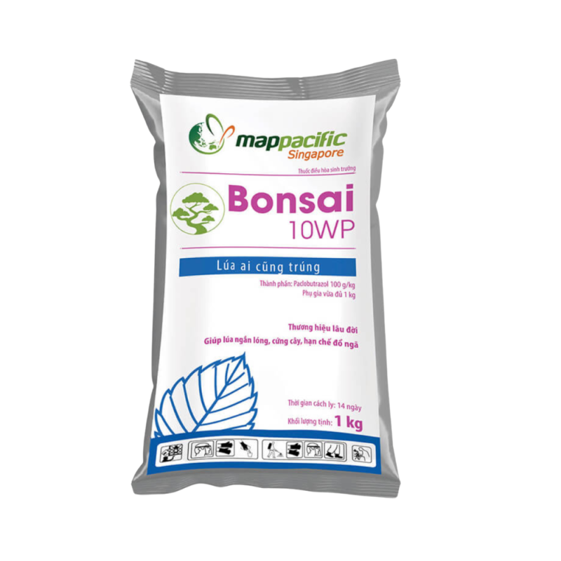 BONSAI 1000gr