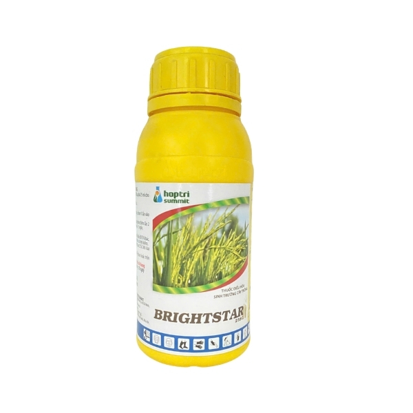 BRIGHTSTAR 500ml