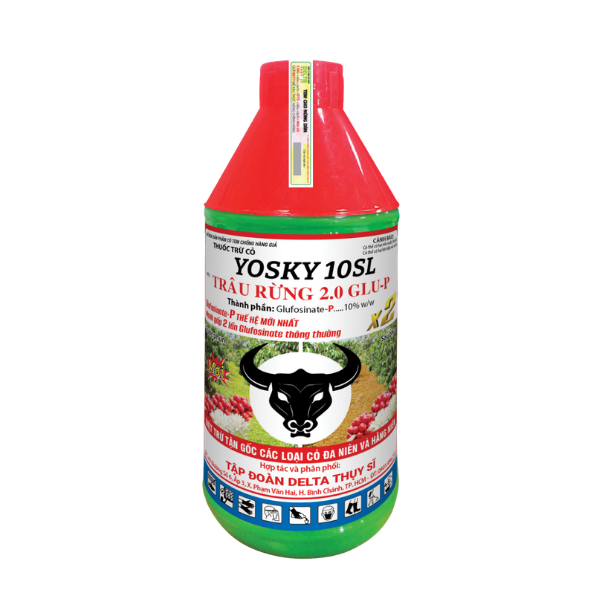 TRÂU RỪNG ĐEN 900ml