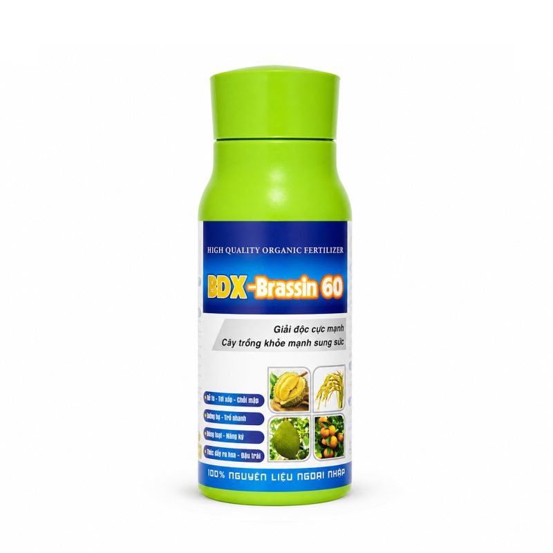 BDX-Brassin 60